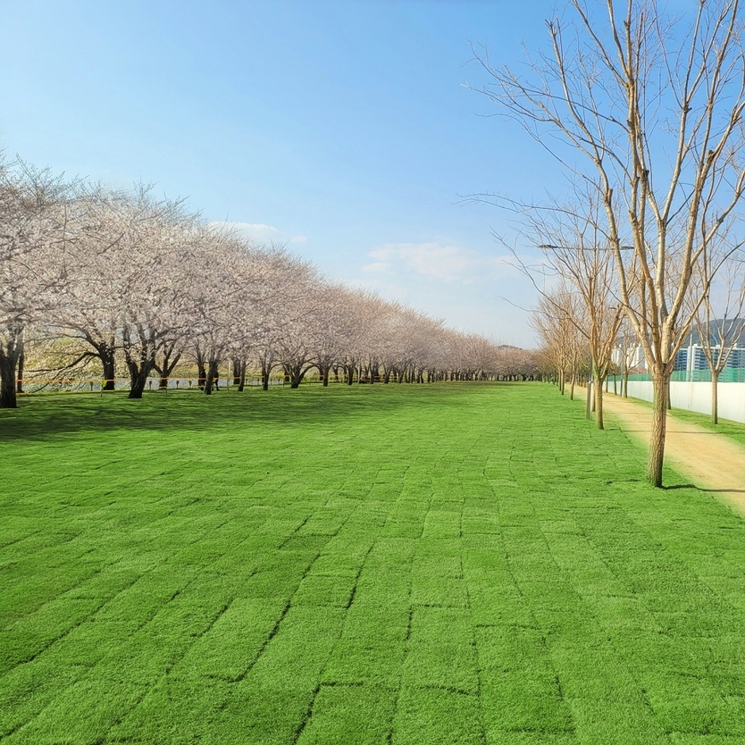 동천 수변공원 개방_770m의 넓은 녹지공간ⓒ순천시 제공
