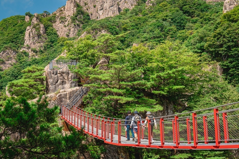 대둔산축제프로그램참가자모집ⓒ완주군청 제공