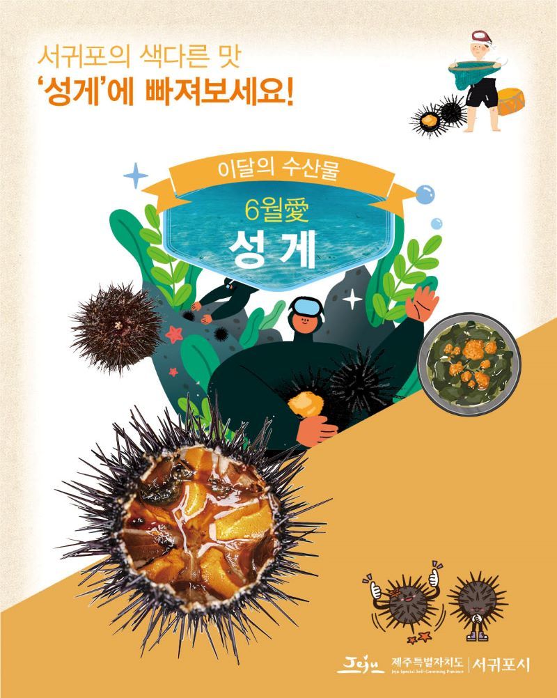 6월 제철 수산물 성게 홍보 포스터ⓒ서귀포시청 제공