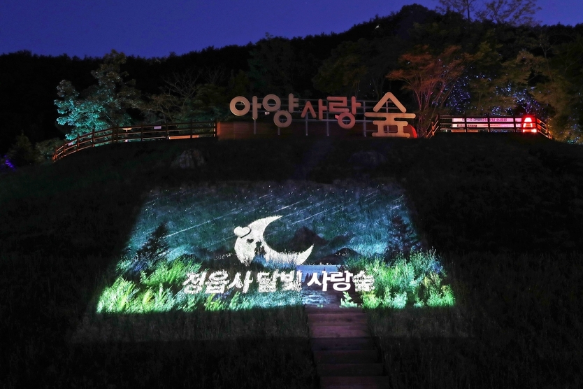 사랑을 걷는 밤…정읍 ‘달빛 사랑숲’ 감성 충전 명소로ⓒ정읍시청 제공