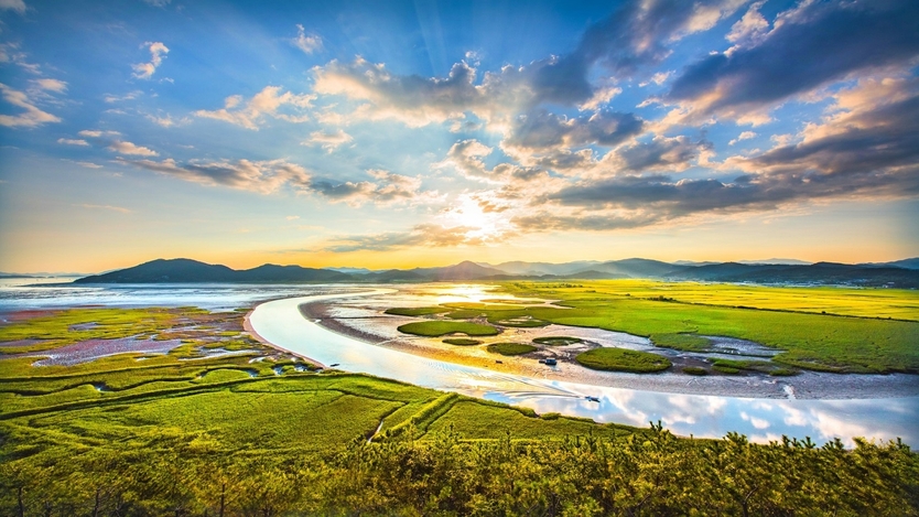용산전망대에서 바라본 순천만습지ⓒ순천시청 제공