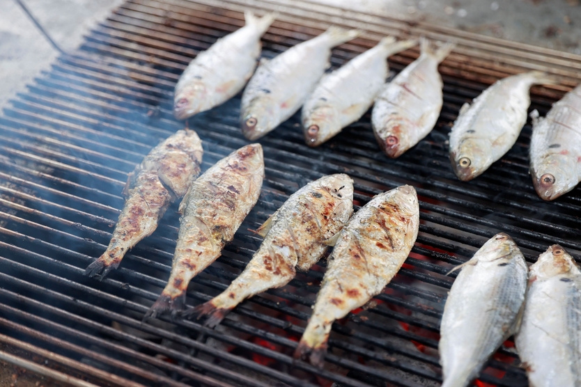 보성전어축제에서 잡고! 굽고! 맛보고! (2024년 보성전어축제)ⓒ보성군 제공