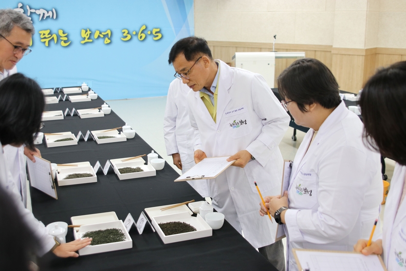 차의 외형, 찻물의 색, 향, 맛, 우려낸 잎 등 다섯 가지 항목에 대해 심사를 하고 있다ⓒ보성군 제공