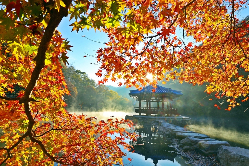 정읍시, 내장산 교통·주차난 AI로 해결…한국관광공사 실증사업 선정(우화정)ⓒ정읍시 제공