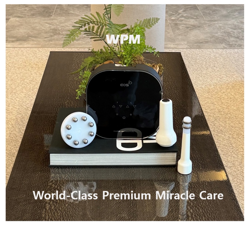 WPM 솔루션 (사진=월피엠)
