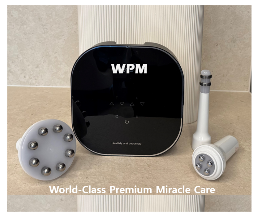 WPM 솔루션 (사진=월피엠)
