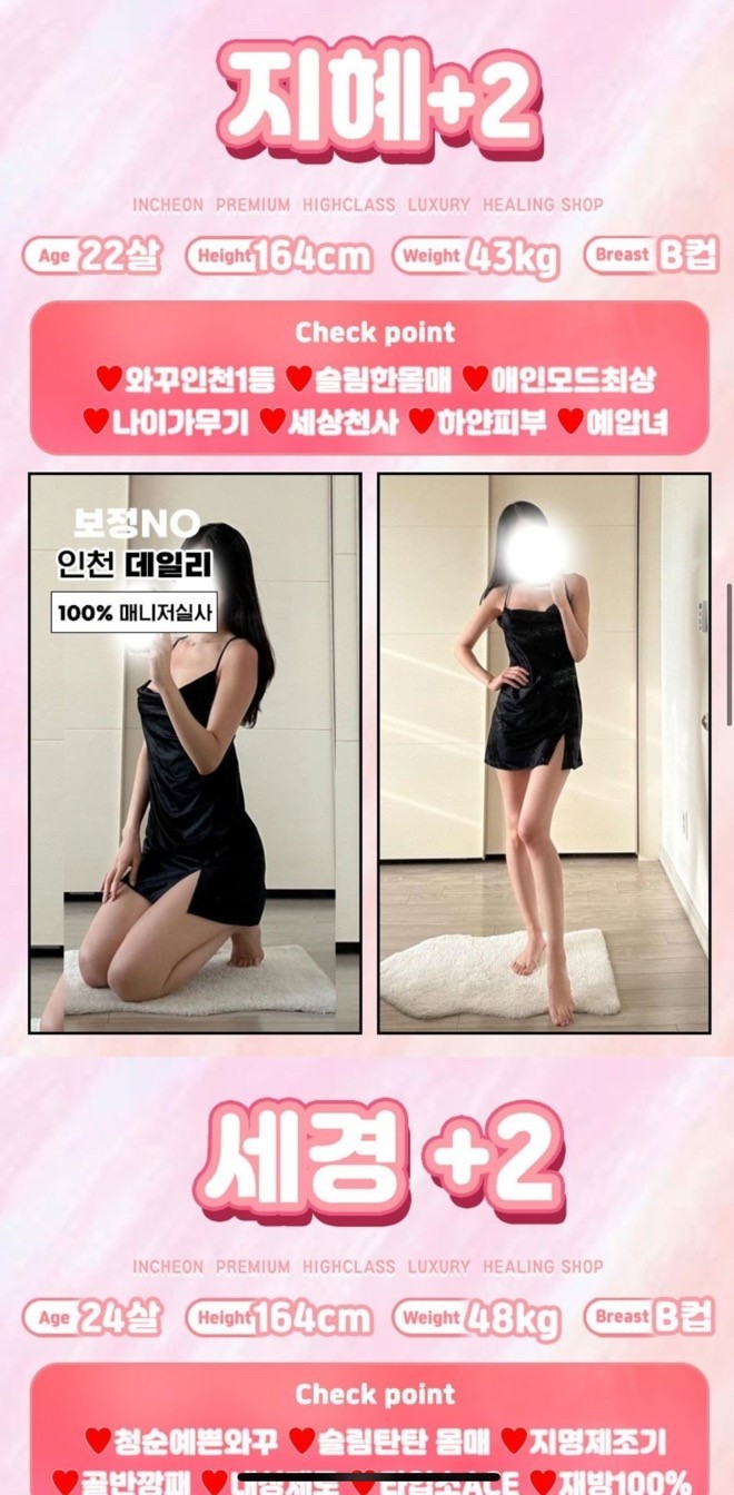 성매매 포스터 ⓒ 인천경찰청 제공