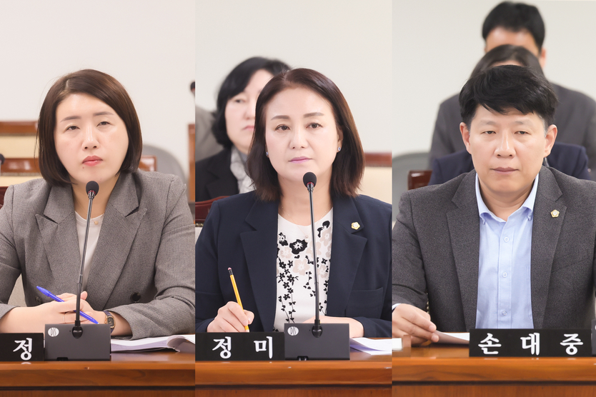 부평구의회, 의원발의 조례안 3건 본회의 의결, 사진 왼쪽부터 정유정의원,허정미의원,손대중의원,  ⓒ 부평구의회 