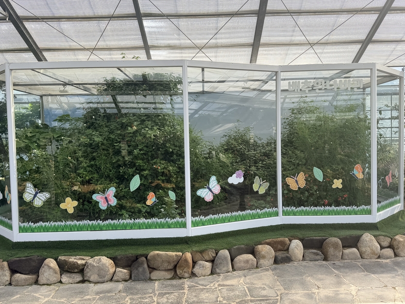 ‘2025 대한민국 국향대전’ 자연생태관 내 배추흰나비관 전경 ⓒ 함평군 제공