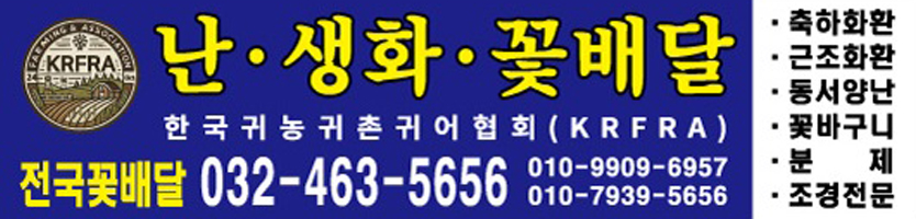 배너