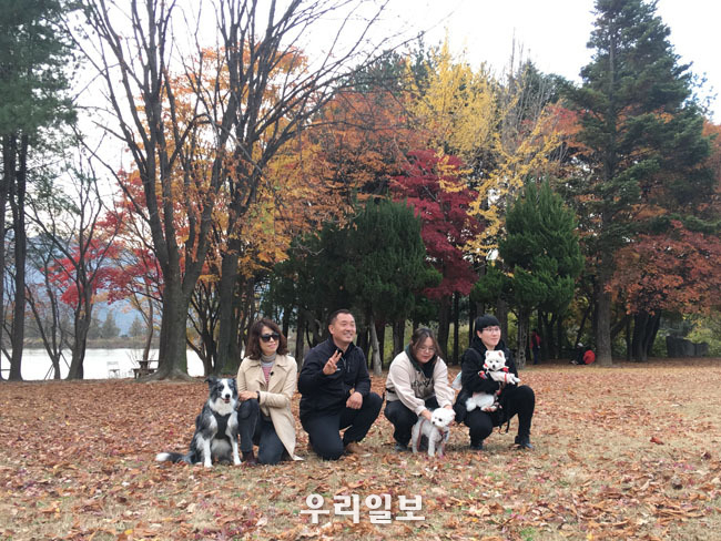  펫티켓 촬영 현장 사진 ⓒ서울시청 제공