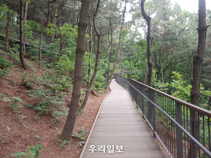 부평구 장수산 무장애나눔길, 사후관리 모니터링 평가 ‘최우수기관’ 선정 ⓒ부평구청