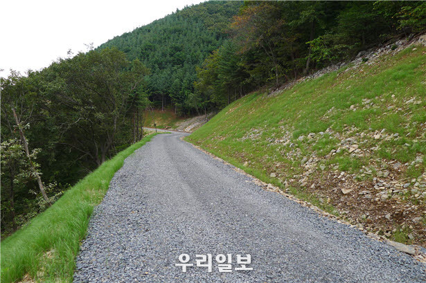 보령 옥마산 임도.(사진=충남도)