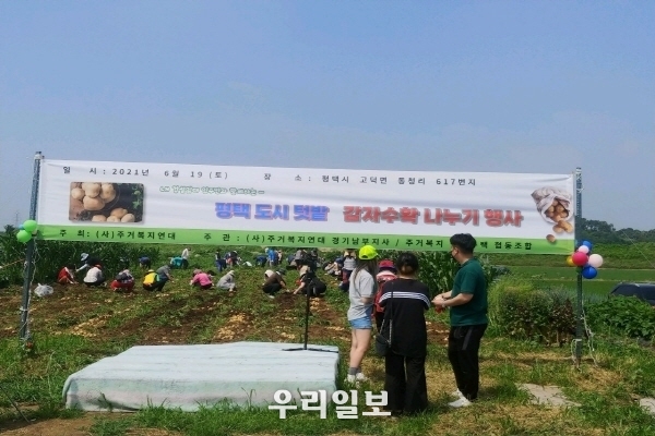 지난 19일 주거복지연대 경기남부지사, 평택도시텃밭 감자수확 나누기 행사를 펼치고 있다.