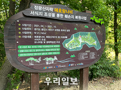 용인시 정광산 복원 완료