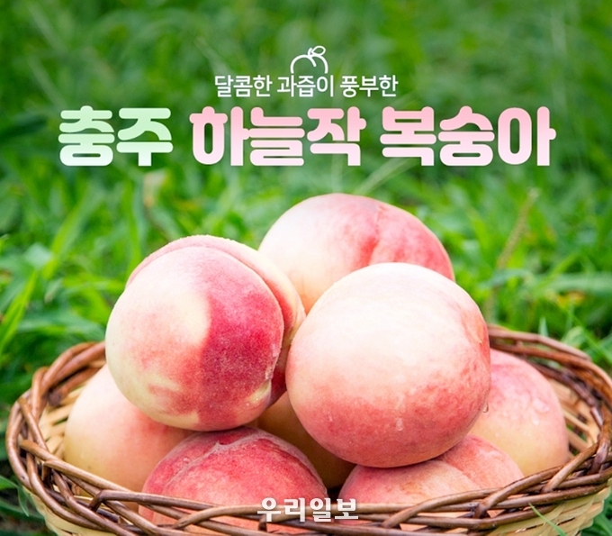하늘작 복숭아 이미지.(사진=충주시청)