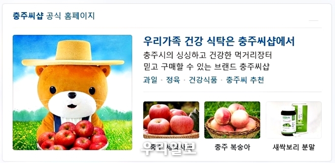 관련기사 이미지.(사진=충주시청)