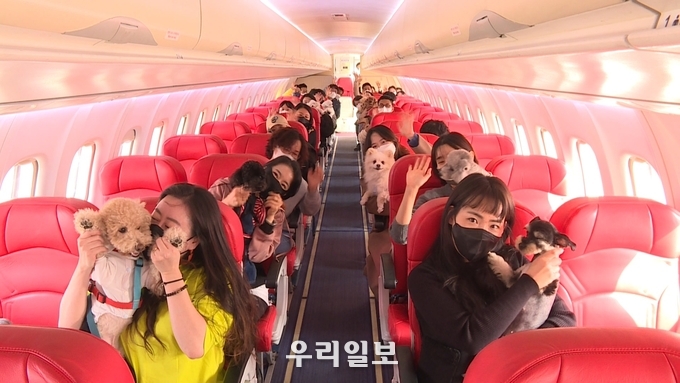  KB국민은행, ‘반려동물 전용 제주도 전세기’ 띄워