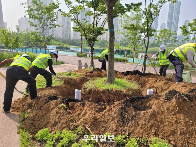 인천경제자유구역청 청라호수공원 수목 생육사업 진행 ⓒ 인천경제자유구역청 제공