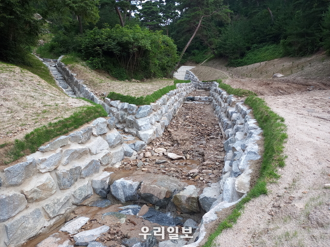 관련기사 이미지.(사진=충주국유림관리소)