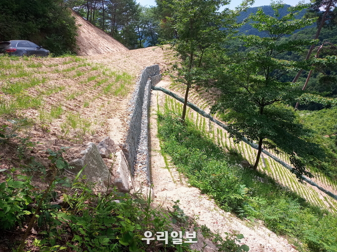 관련기사 이미지.(사진=충주국유림관리소)