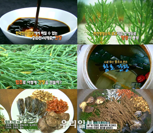 함초 간장 만드는 법 영상자료 캡처