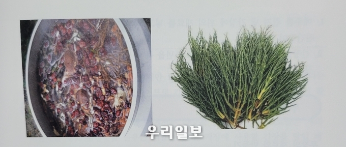 함초간장 재료와 육수 모습 