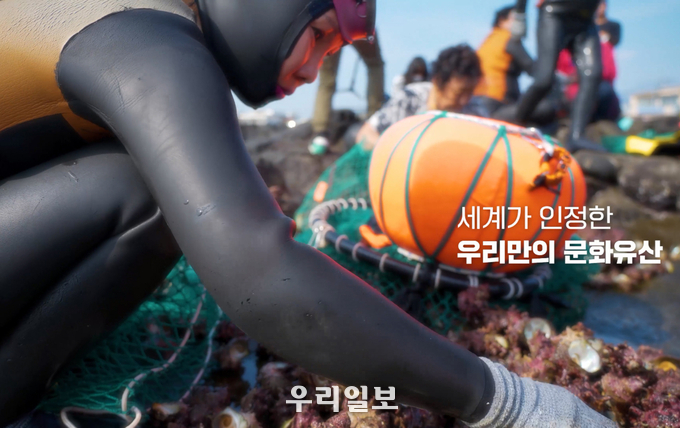 이번 한국어 영상의 주요 장면