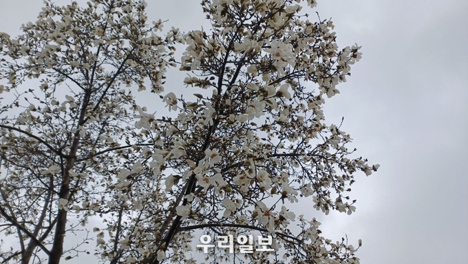 사진제공 - 광주광역시 광산구 신가동 최용현