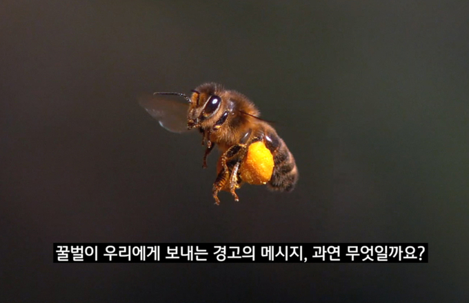 이번 한국어 영상의 주요 장면(사진제공=서경덕 성신여대 교수)