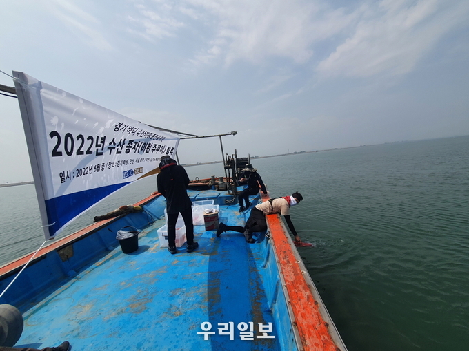 시흥시가 오이도앞 해상에 주꾸미를 방류했다.(사진=시흥시청)