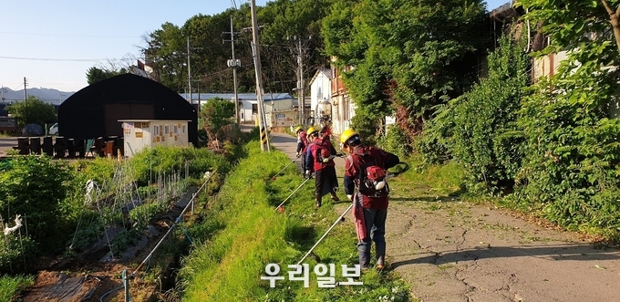 과림동 마을에서 보행로 제초 작업에 한창이다.(사진=시흥시청)