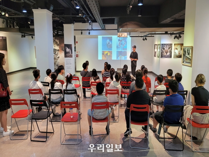 길 고양이 사진전.(사진=시흥시청)