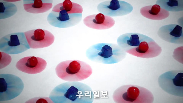 대상 김경란 '관점의 경계
