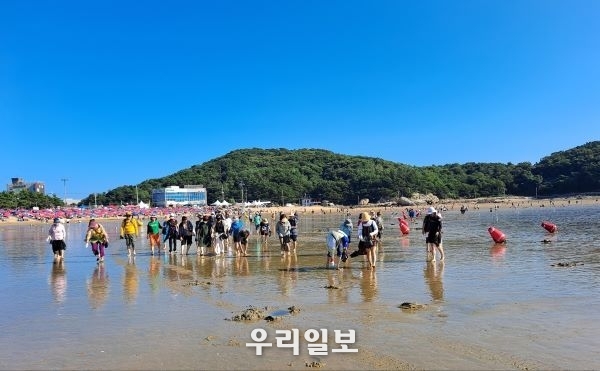 지난 8월 20일 사단법인 국제어싱협회 회원들이 을왕리 해수욕장에서 8월 정기 어싱데이(Earthing Day)행사를 하고 있다.
