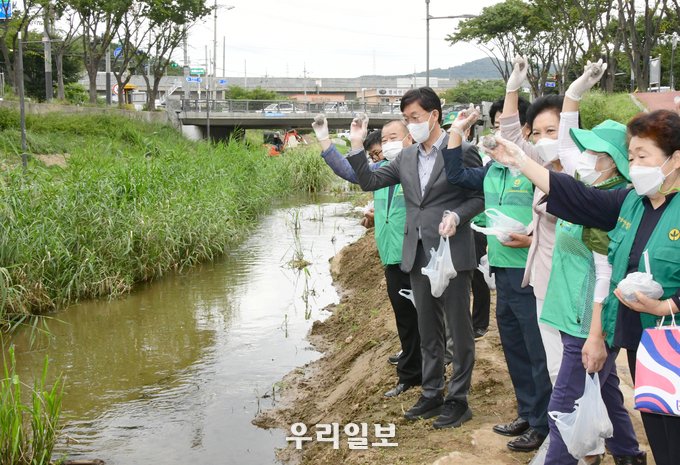 안산시 새마을회가 생태하천 복원운동을 진행하고 있다.(사진=안산시청)
