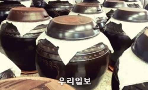 (주)이지담 순수발효 어된장을 옹기 항아리에 숙성발효하는 모습.