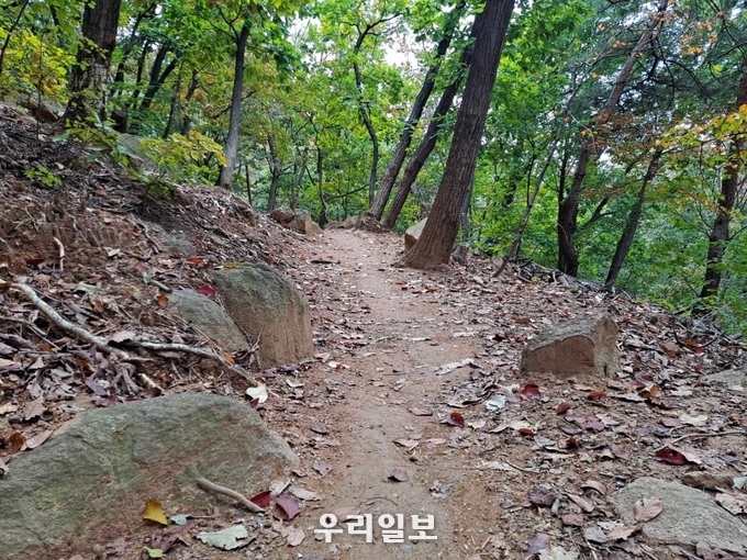 지난 10월 16일 '어싱데이(Earthing Day) 장소 사전탐방 국사봉 어싱길(Earthing Road) 모습.