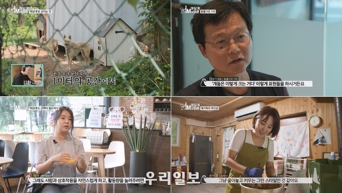 ‘마당개 1미터의 일생’ 좌측 상단부터 김환 아나운서 내레이션, 동물구호활동가 임영기대표, 반려동물 행동 전문가 서지형(제이)트레이너, 동물복지 전문가이자 수의사 손서영-TRA Media 제공