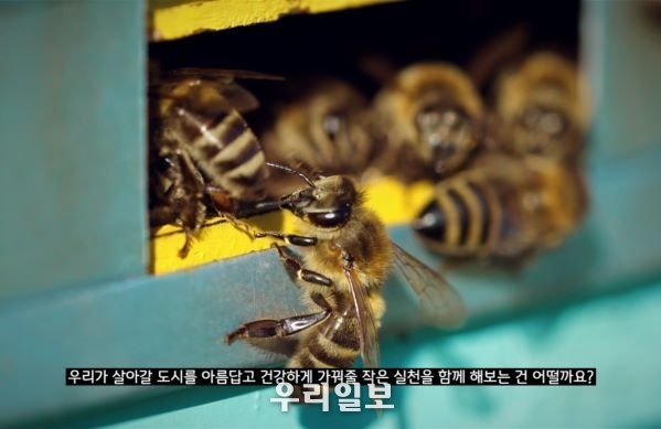 이번 한국어 영상의 주요 장면